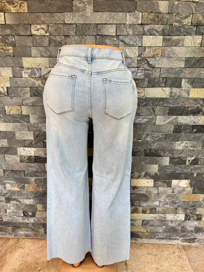 vibrant straigh high waist light standard